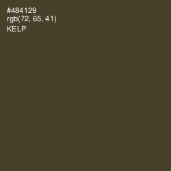#484129 - Kelp Color Image