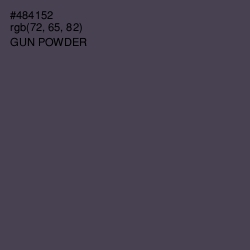 #484152 - Gun Powder Color Image