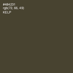 #484231 - Kelp Color Image