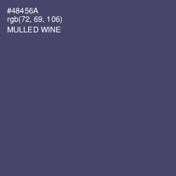 #48456A - Mulled Wine Color Image