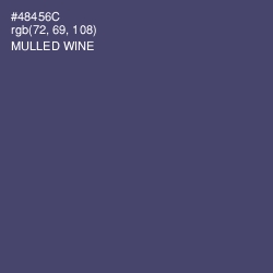#48456C - Mulled Wine Color Image