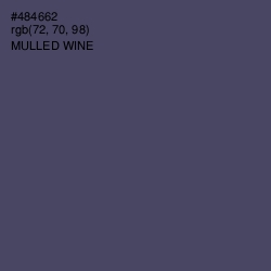 #484662 - Mulled Wine Color Image