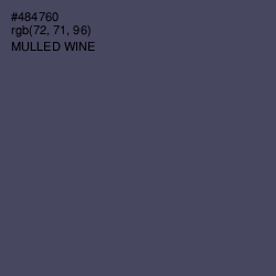 #484760 - Mulled Wine Color Image