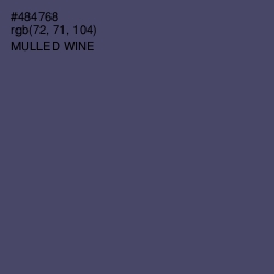 #484768 - Mulled Wine Color Image