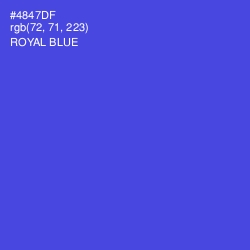 #4847DF - Royal Blue Color Image