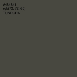 #484841 - Tundora Color Image