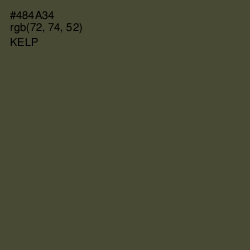 #484A34 - Kelp Color Image