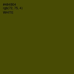#484B04 - Bronze Olive Color Image