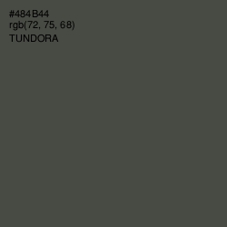 #484B44 - Tundora Color Image