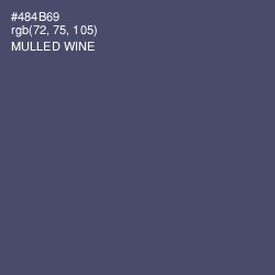 #484B69 - Mulled Wine Color Image