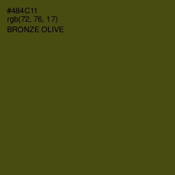 #484C11 - Bronze Olive Color Image