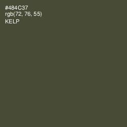 #484C37 - Kelp Color Image