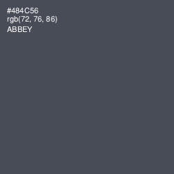#484C56 - Abbey Color Image