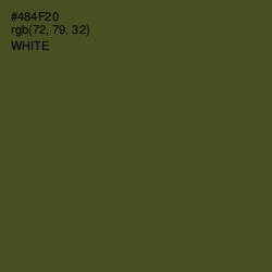 #484F20 - Woodland Color Image