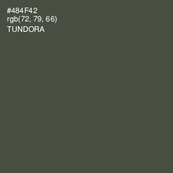 #484F42 - Tundora Color Image