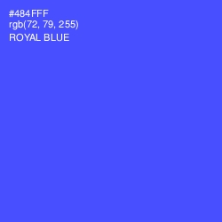 #484FFF - Royal Blue Color Image