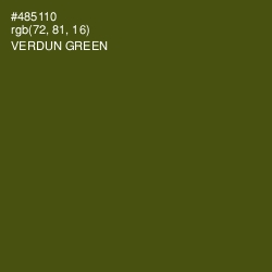 #485110 - Verdun Green Color Image