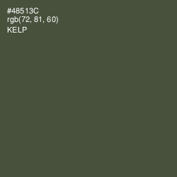 #48513C - Kelp Color Image