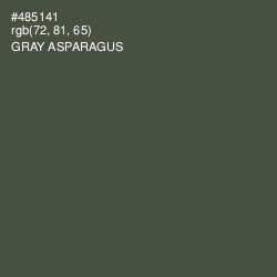 #485141 - Gray Asparagus Color Image