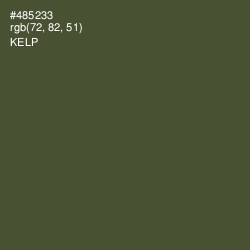 #485233 - Kelp Color Image
