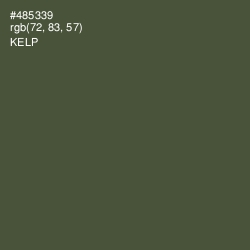 #485339 - Kelp Color Image