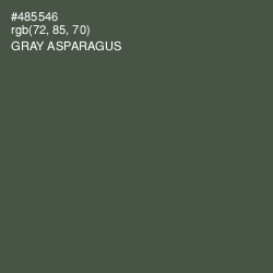 #485546 - Gray Asparagus Color Image