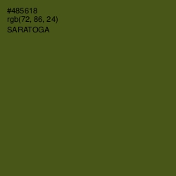 #485618 - Saratoga Color Image
