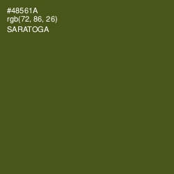 #48561A - Saratoga Color Image