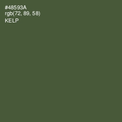 #48593A - Kelp Color Image