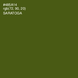 #485A14 - Saratoga Color Image