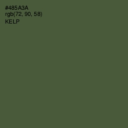 #485A3A - Kelp Color Image