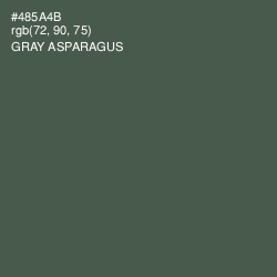 #485A4B - Gray Asparagus Color Image