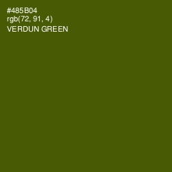 #485B04 - Verdun Green Color Image