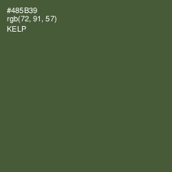 #485B39 - Kelp Color Image