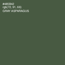 #485B42 - Gray Asparagus Color Image