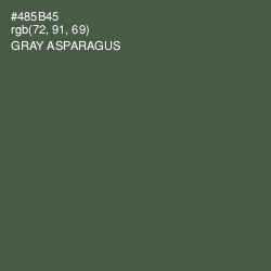 #485B45 - Gray Asparagus Color Image