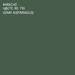 #485C4C - Gray Asparagus Color Image