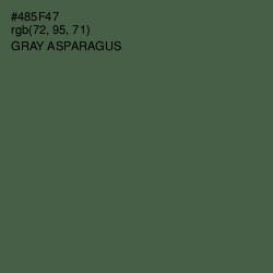 #485F47 - Gray Asparagus Color Image