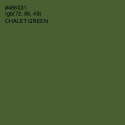 #486031 - Chalet Green Color Image