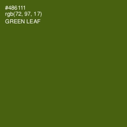 #486111 - Green Leaf Color Image