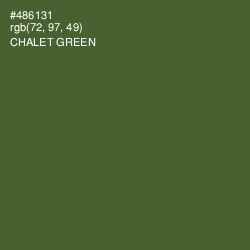 #486131 - Chalet Green Color Image