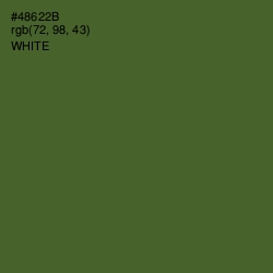 #48622B - Chalet Green Color Image