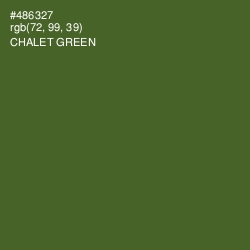 #486327 - Chalet Green Color Image