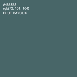 #486568 - Blue Bayoux Color Image