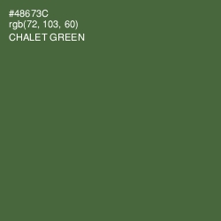 #48673C - Chalet Green Color Image