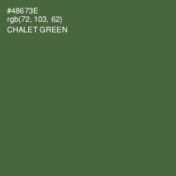 #48673E - Chalet Green Color Image