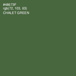#48673F - Chalet Green Color Image
