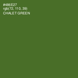 #486E27 - Chalet Green Color Image