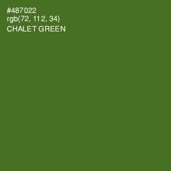 #487022 - Chalet Green Color Image
