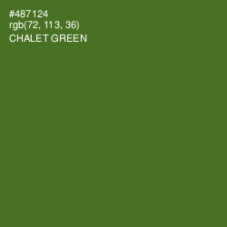 #487124 - Chalet Green Color Image